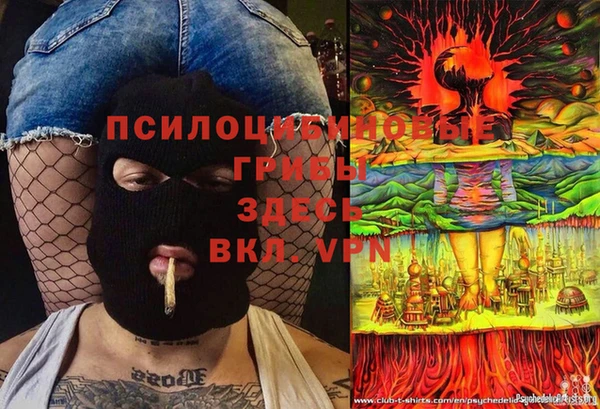 ГАЛЛЮЦИНОГЕННЫЕ ГРИБЫ Красноперекопск