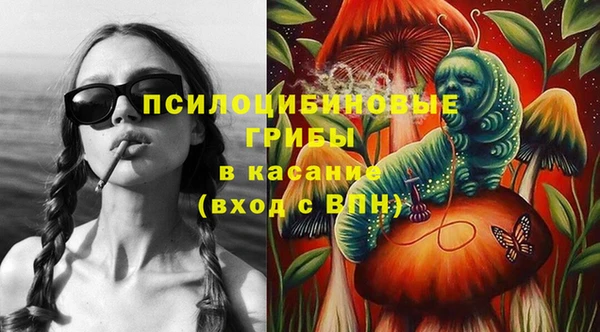 ГАЛЛЮЦИНОГЕННЫЕ ГРИБЫ Красноперекопск