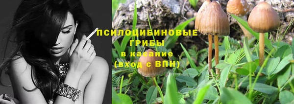 ГАЛЛЮЦИНОГЕННЫЕ ГРИБЫ Красноперекопск