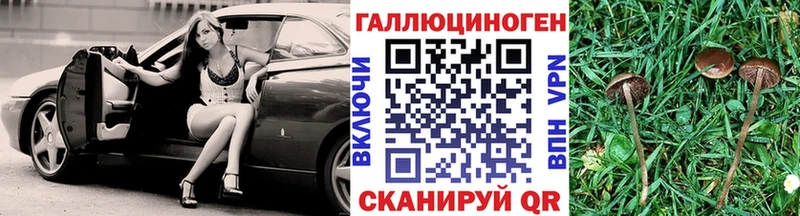 Галлюциногенные грибы прущие грибы  как найти   Шелехов 